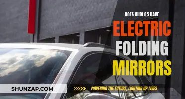 Audi Q5: Electric Folding Mirrors, Yes or No?