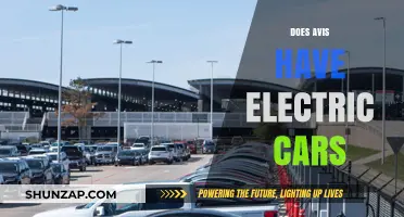 Does Avis Offer Electric Cars? Exploring Eco-Friendly Rental Options