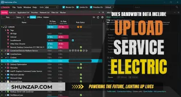 Bandwidth Data: Upload Service Electric's Impact on Usage