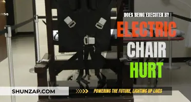 Electric Chair Execution: Painful Death or Quick Exit?