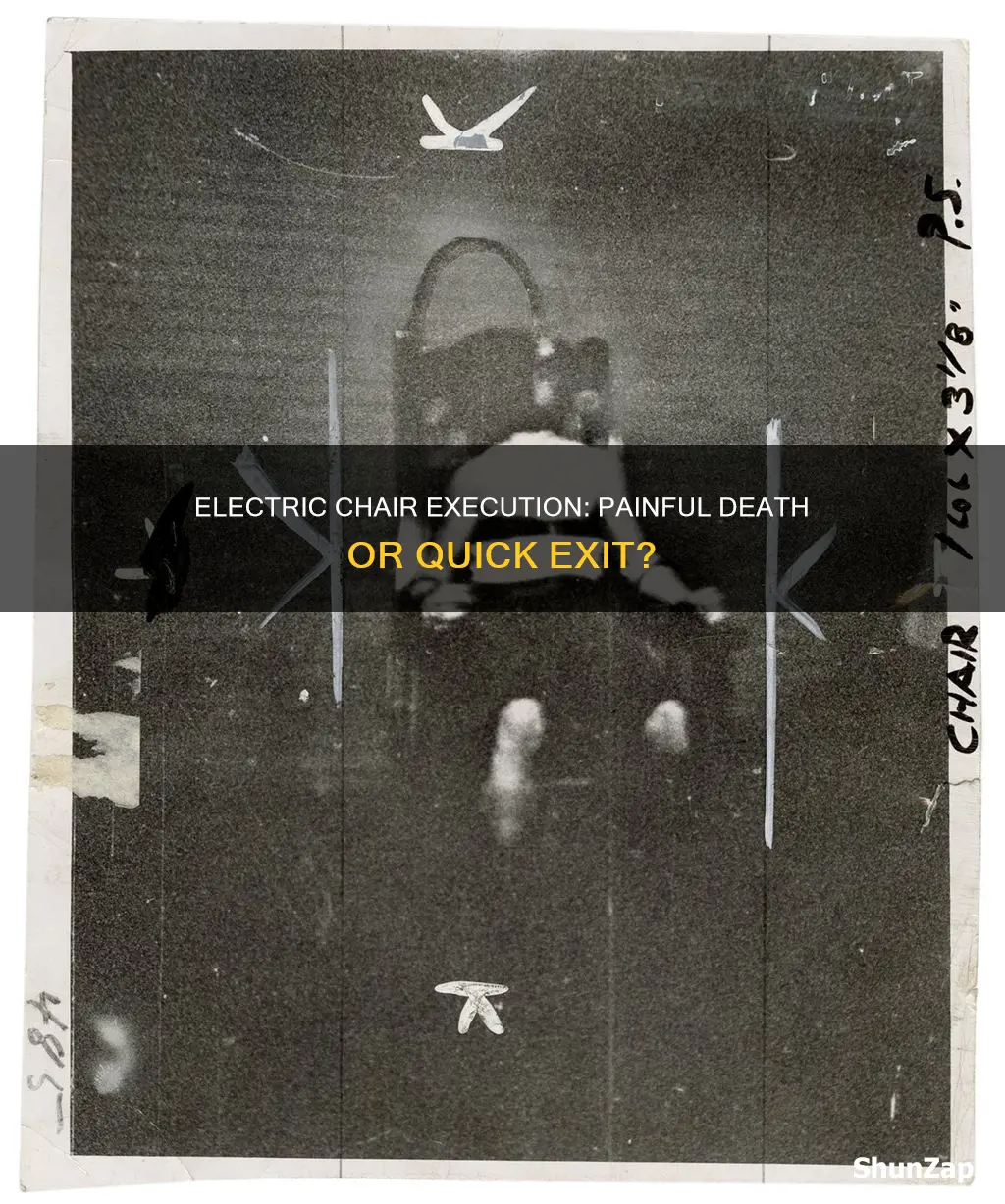 does being executed by electric chair hurt