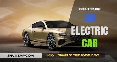 Bentley's Electric Car: Exploring the Luxury Brand's EV Lineup