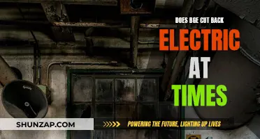 BGE's Power Saving Strategies: Electric Cutbacks Explained