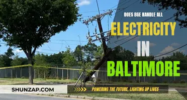 Baltimore Electricity: BGE's Control and Influence