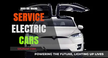 Do Big Brands Offer Electric Car Services? Exploring the Options
