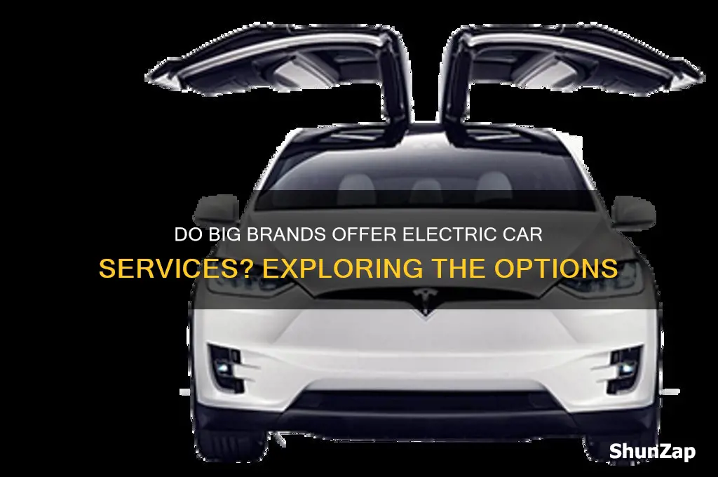 does big brand service electric cars