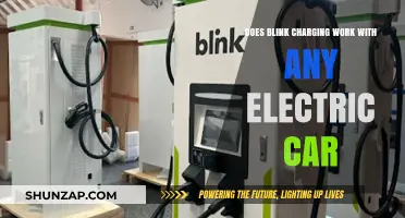 Does Blink Charging Work with Any Electric Car? Compatibility Explained