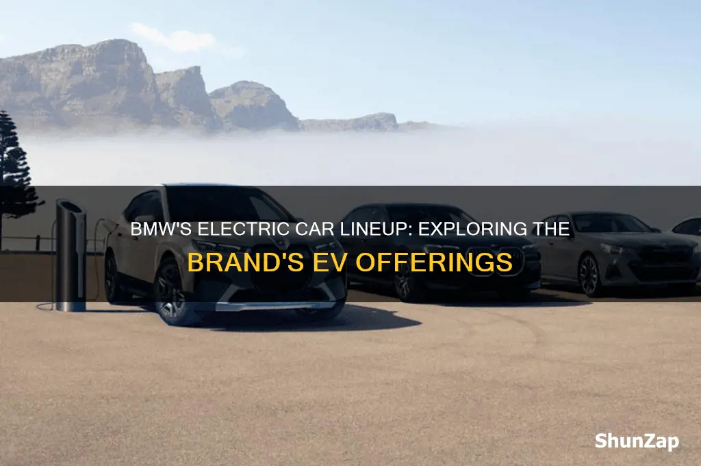 does bmw has electric car