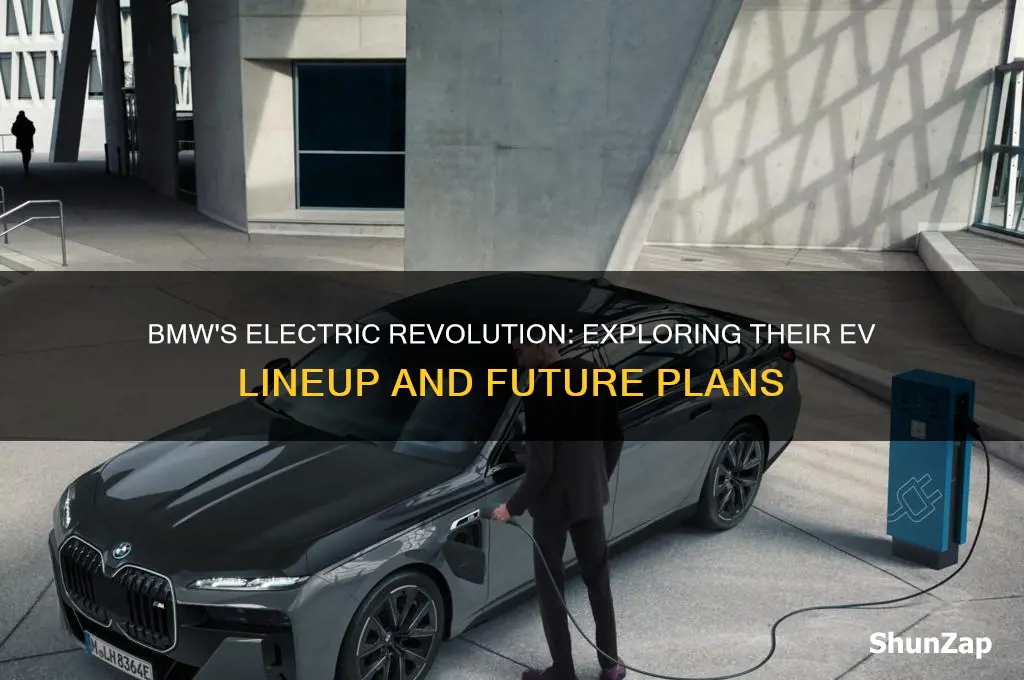 does bmw have an electric car
