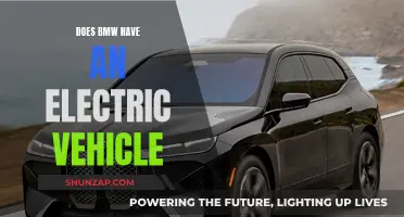 BMW's Electric Vehicle Lineup: Exploring the Options