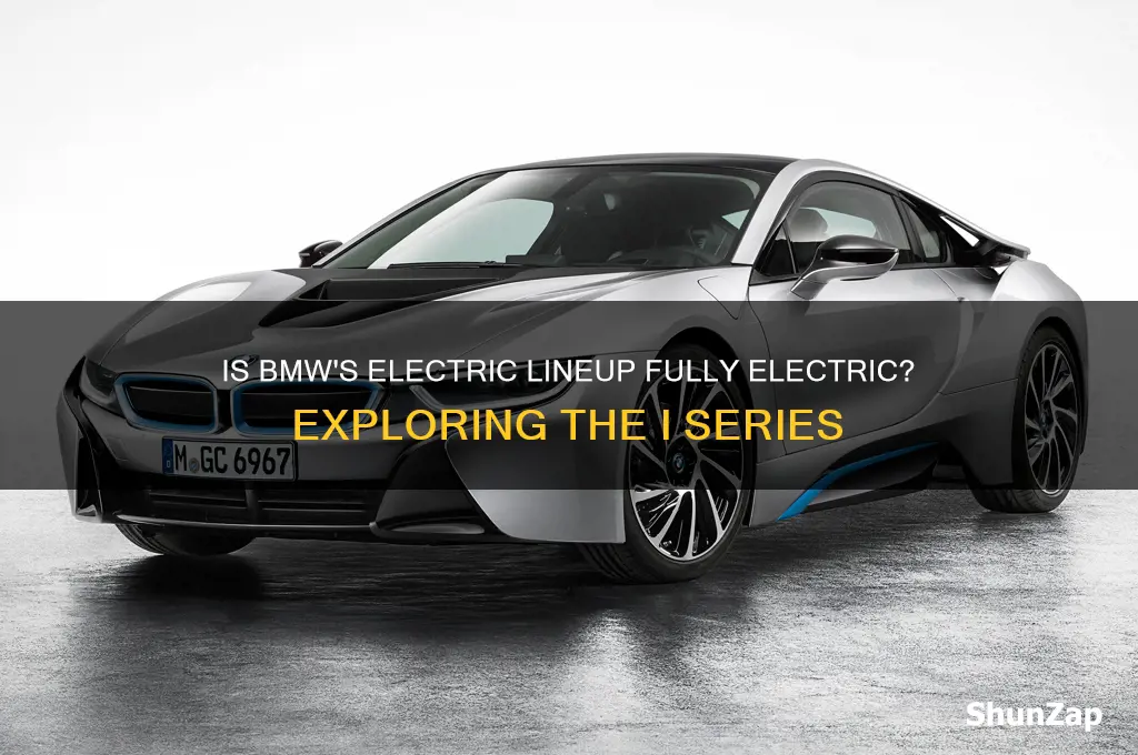does bmw make a 100 electric car