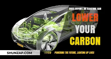 Electric Cars: Reducing Carbon Footprint or Greenwashing Myth?