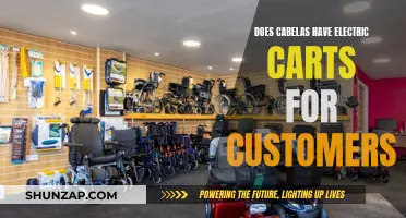 Cabela's Electric Carts: A Customer Convenience?