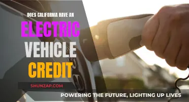 California's EV Credit: A Green Car Incentive Guide