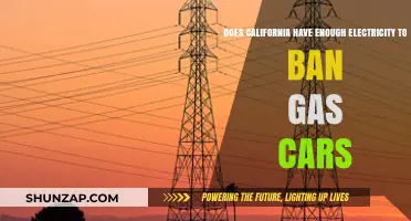 California's Power Grid: Can It Support a Gas Car Ban?