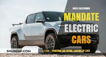 California's Electric Vehicle Mandate: What You Need to Know