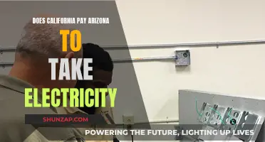 California's Electricity Export: Paying Arizona to Take It