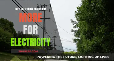 California's Electricity Costs: Paying a Premium?