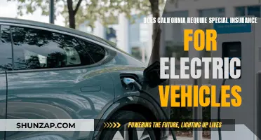 Electric Vehicle Insurance in California: What's Special?
