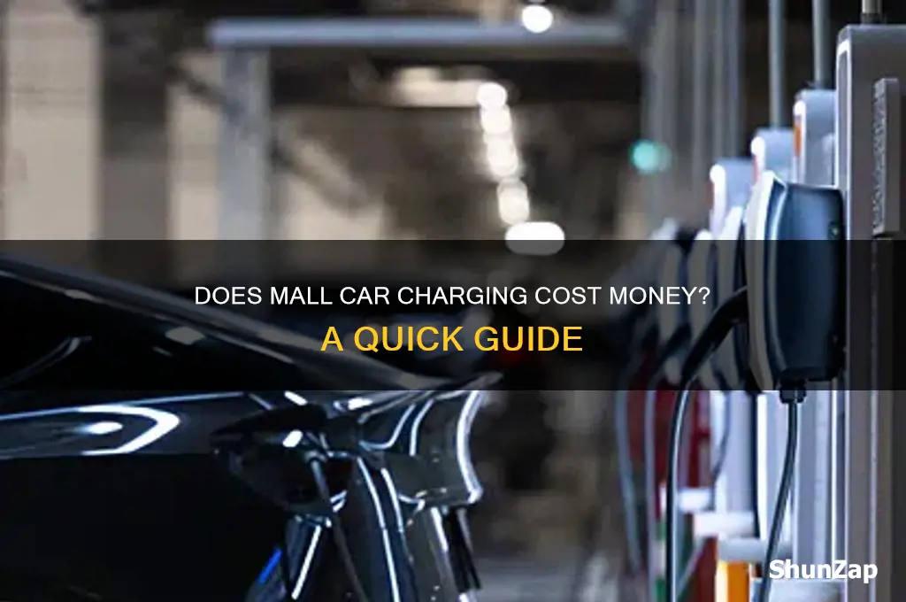 does car electricity cost money at the mall