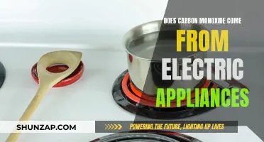 Carbon Monoxide and Electric Appliances: What's the Real Danger?