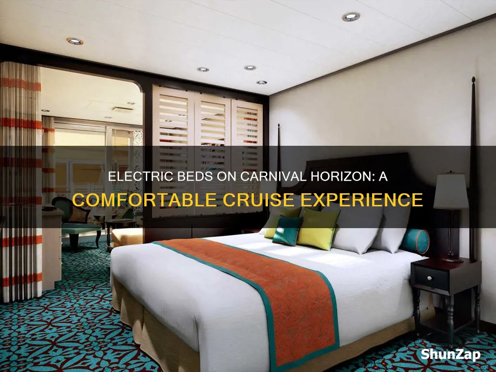 does carnival horizon have electric by bed