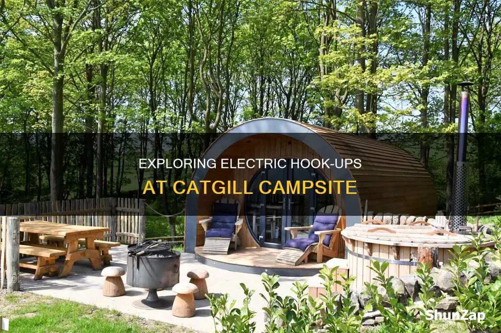 does catgill campsite have electric hook up