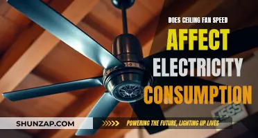 Ceiling Fan Speed: Electricity Consumption's Worst Enemy?