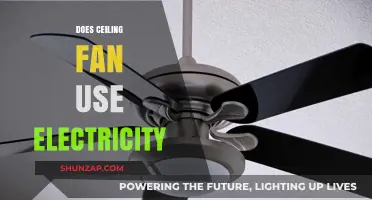 Ceiling Fans and Electricity: Understanding Their Energy Consumption