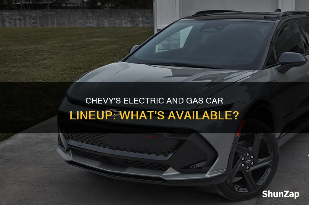 does chevy make a car thats either electric or gas