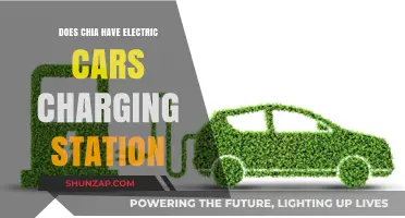 Chia's Electric Car Charging Stations: Availability and Accessibility Explored