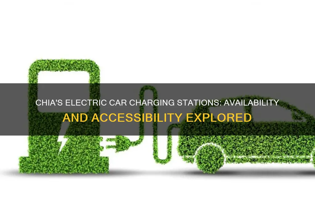 does chia have electric cars charging station
