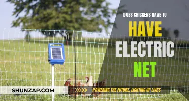 Electric Netting: A Chicken Owner's Best Friend?