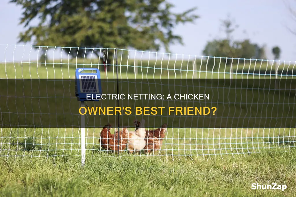 does chickens have to have electric net