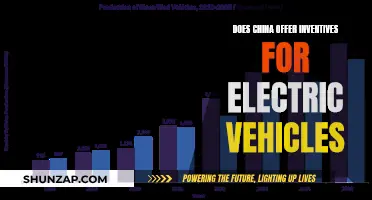 China's EV Incentives: What's on Offer?