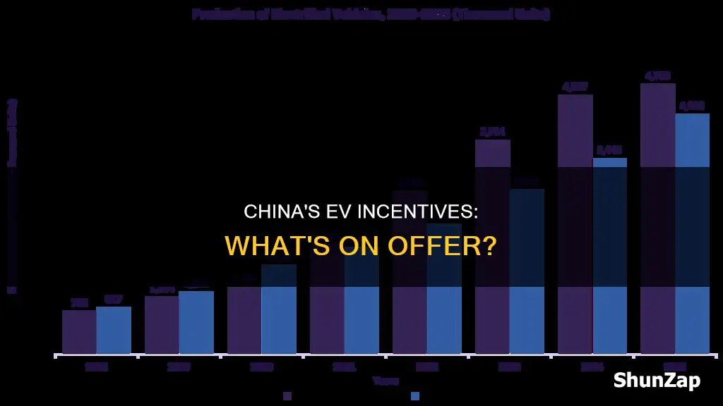 does china offer inventives for electric vehicles