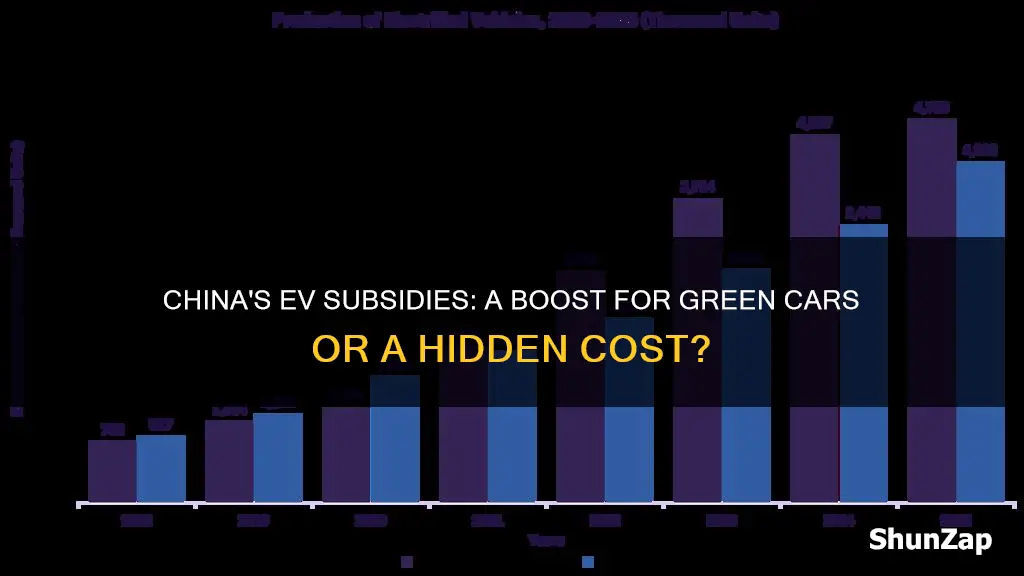 does china subsidize electric vehicles