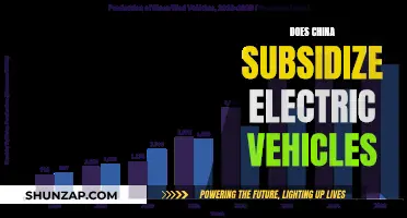 China's Electric Vehicle Revolution: Government Subsidies and Support