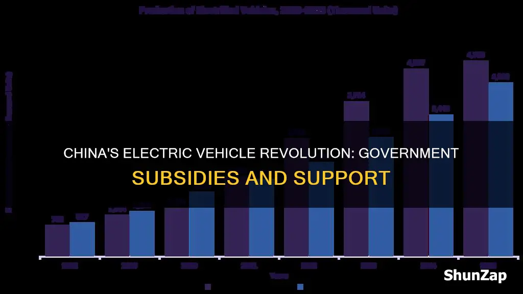 does china subsidize electric vehicles