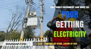 China's Energy Equity: Does the Government Prioritize Electrifying the Poor?
