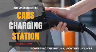 Does Choa Offer Electric Car Charging Stations? A Comprehensive Guide