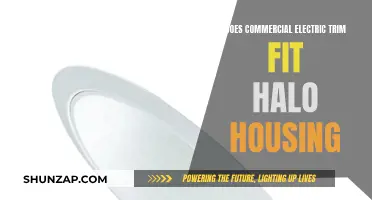 Commercial Electric Trim and Halo Housing: A Perfect Fit?