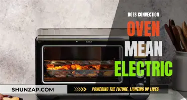 Convection Ovens: Electric or Not?