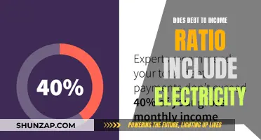 Understanding Debt: What Your Ratio Really Reflects