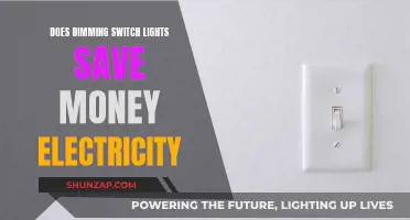 Dimming Switch Lights: Energy Saver or Money Waster?