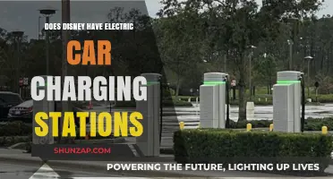 Disney's Green Initiative: Electric Car Charging Stations at Parks?
