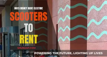 Electric Scooters: Can You Rent Them at Disney?