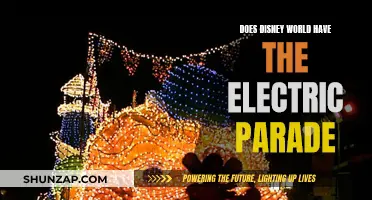 Electric Parade: Disney World's Illuminating Nighttime Spectacle