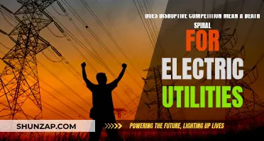 Disruptive Competition: Electric Utilities' Death Spiral?
