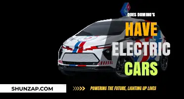Domino's Electric Car Delivery: Revolutionizing Pizza Transport with Green Vehicles